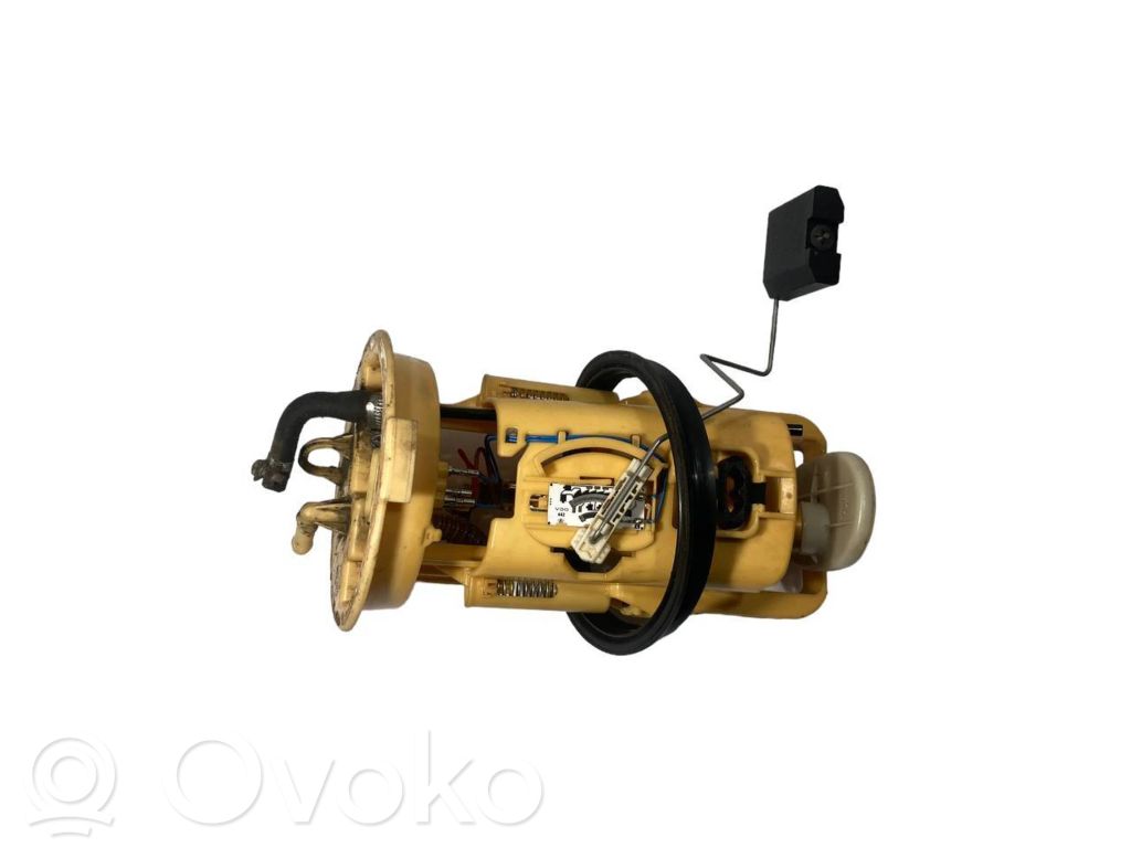 Fuel pump (in the fuel tank)