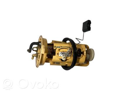 Fuel pump (in the fuel tank)