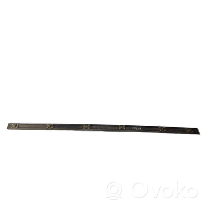 Priekšpusē durvju dekoratīvā apdare (moldings)