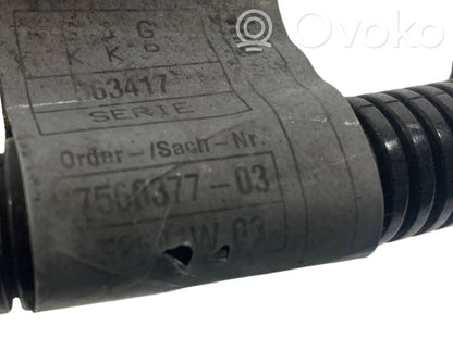 Plusa vads (akumulatora)