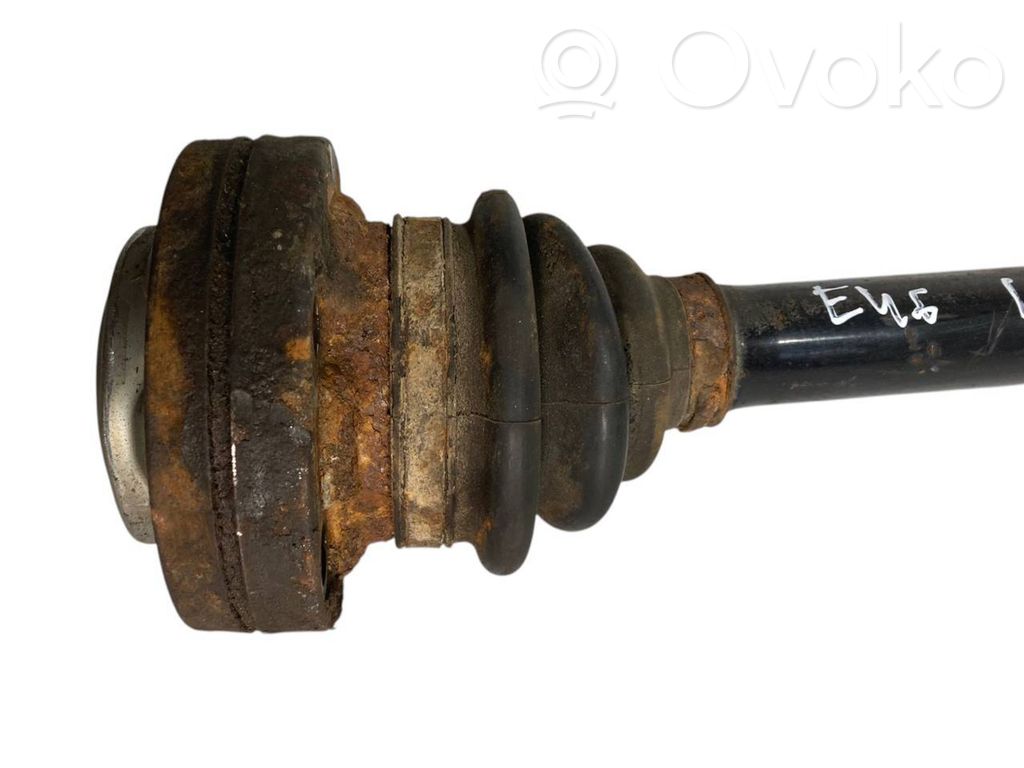 Aizmugurējā pusass