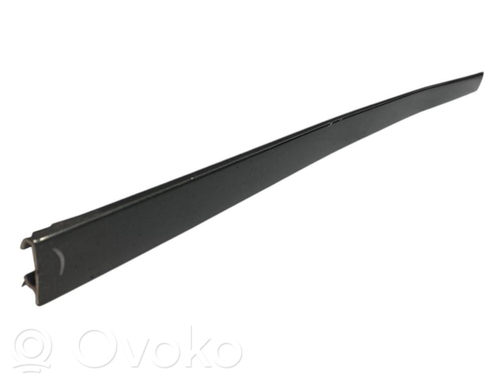 Aizmugurē durvju dekoratīvā apdare (moldings)