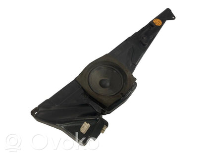 Speaker(s) in front door