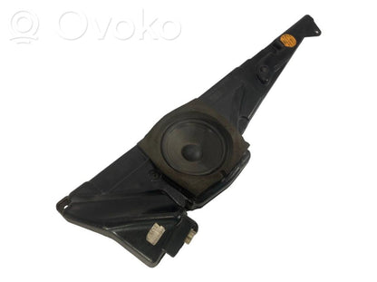 Speaker(s) in front door