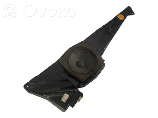 Speaker(s) in front door