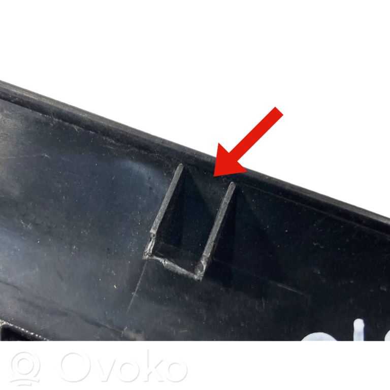 Aizmugurējā sēdekļa sliedīte (-es)