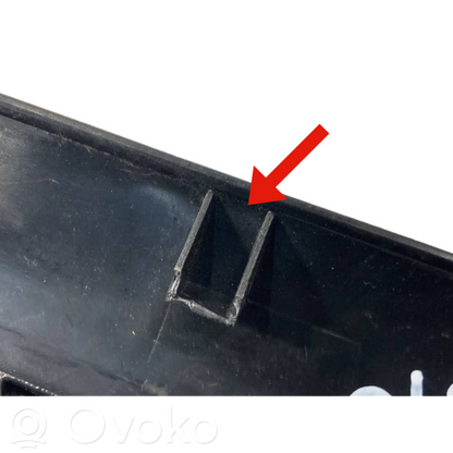 Aizmugurējā sēdekļa sliedīte (-es)