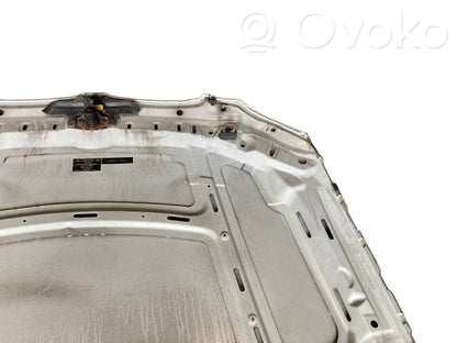 Dzinēja pārsegs (vāks)