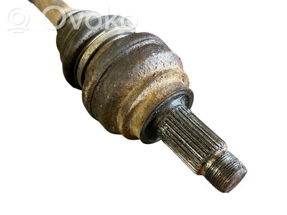 Aizmugurējā pusass