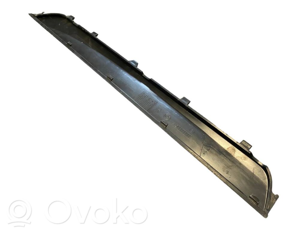 Front sill trim (inner)