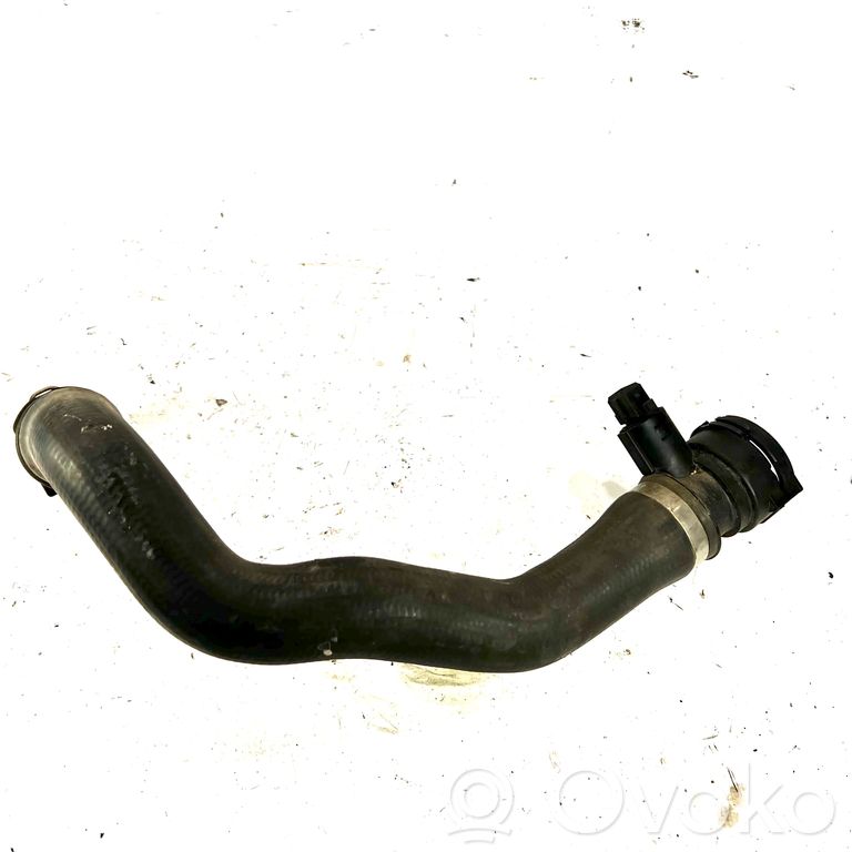 Caurulīte (-es) / šļūtene (-es)