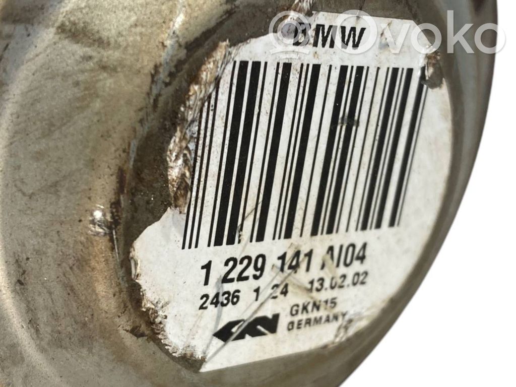 Aizmugurējā pusass