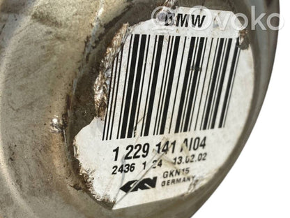 Aizmugurējā pusass