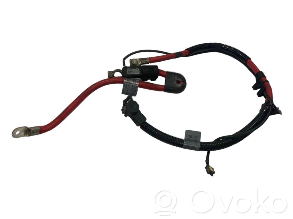 Plusa vads (akumulatora)