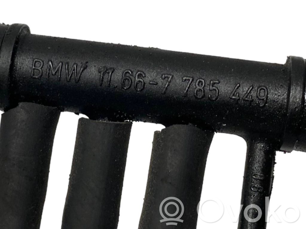 Caurulīte (-es) / šļūtene (-es)