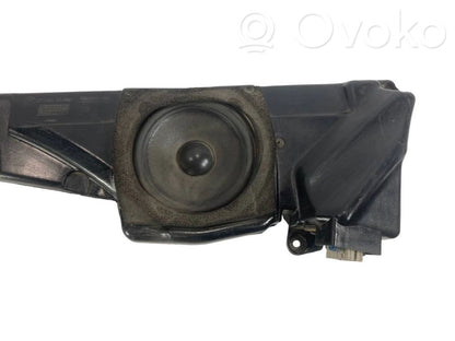 Speaker(s) in front door
