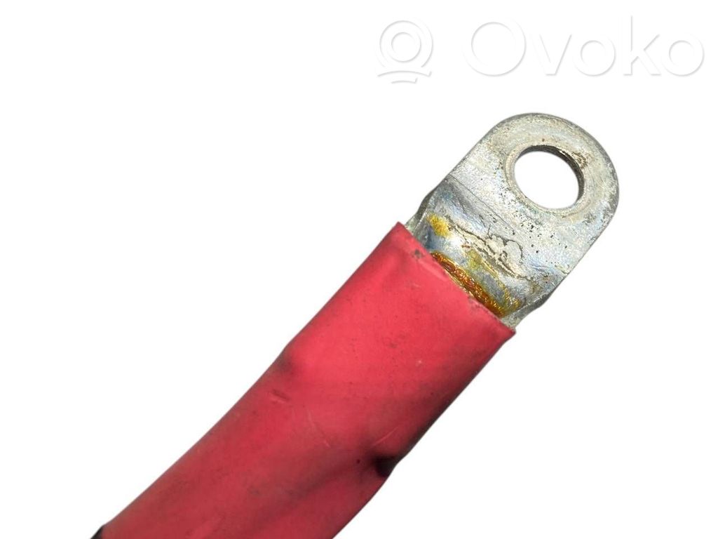 Plusa vads (akumulatora)