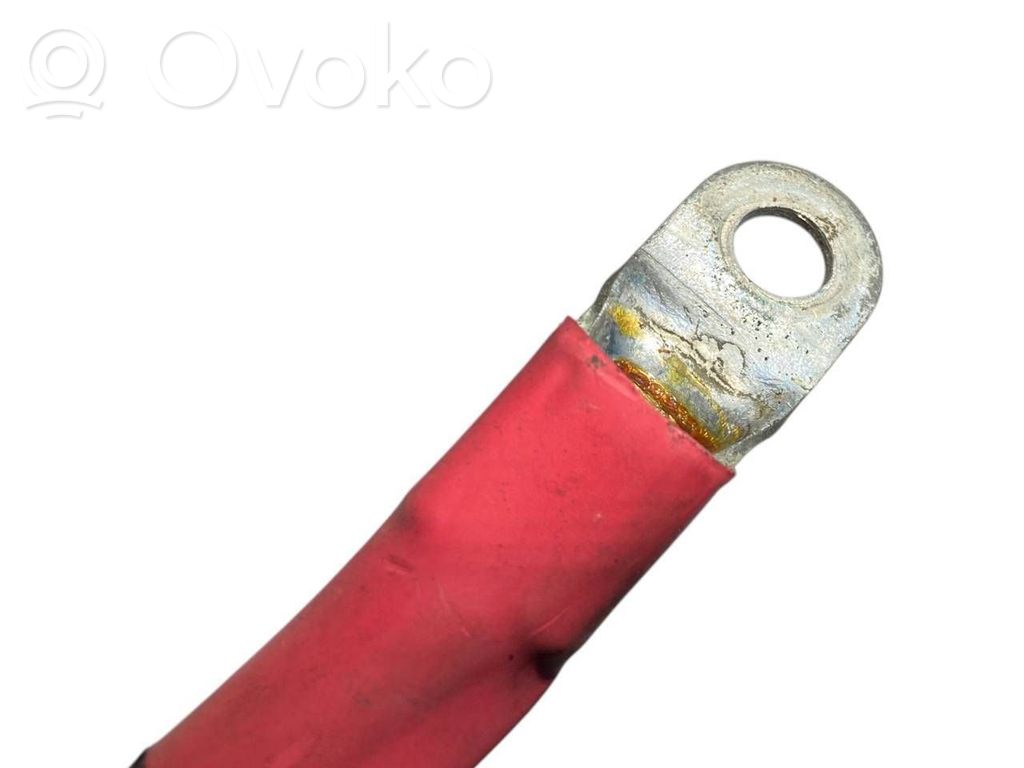 Plusa vads (akumulatora)