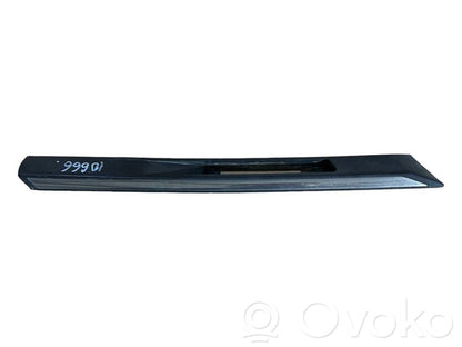 Fender decorative trim (molding)