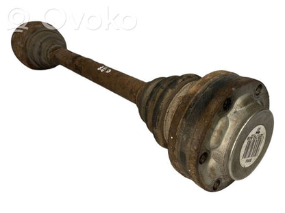 Aizmugurējā pusass