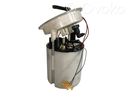 Fuel pump (in the fuel tank)