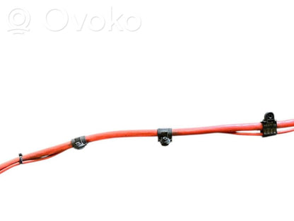 Plusa vads (akumulatora)