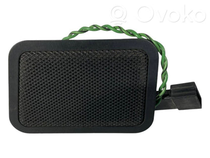 Speaker(s) in the rear door