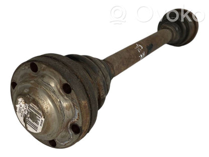 Aizmugurējā pusass