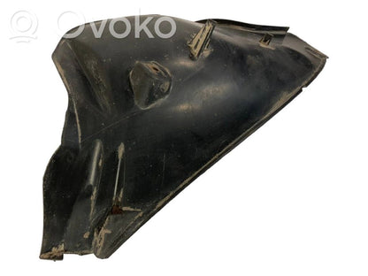 Aizmugurējais apakšspārns