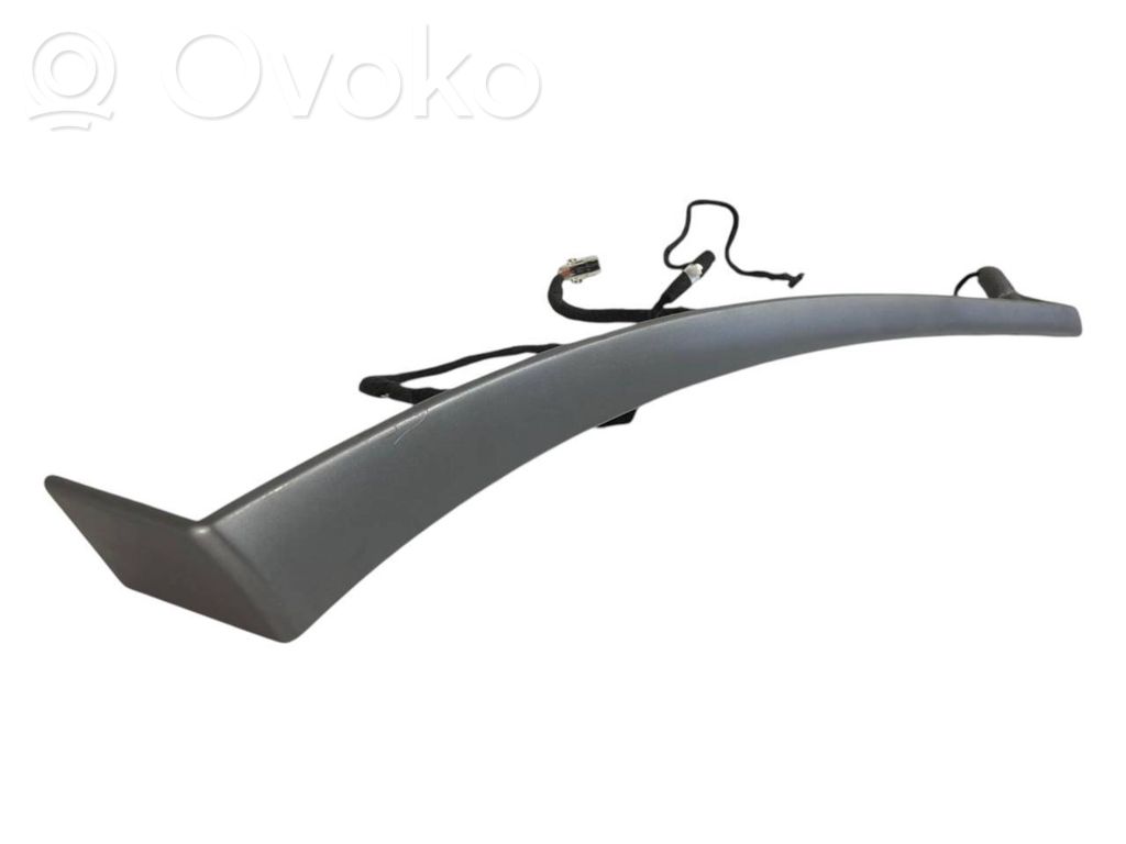 Cita veida aizmugurē durvju dekoratīvās apdares detaļas