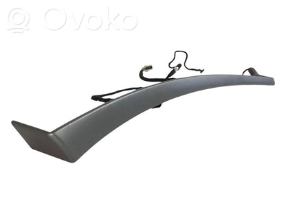 Cita veida aizmugurē durvju dekoratīvās apdares detaļas