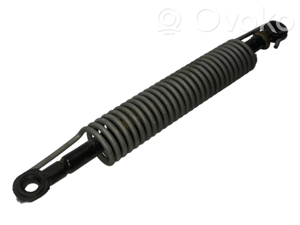 Aizmugurējā pārsega atspere (-es)