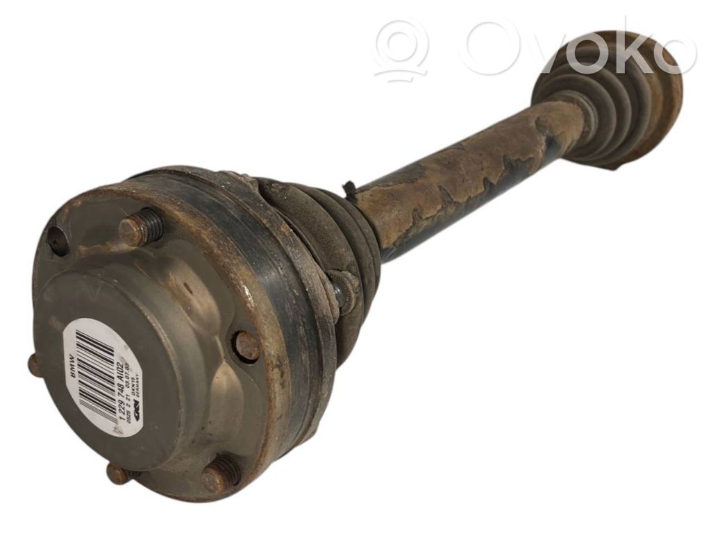 Aizmugurējā pusass