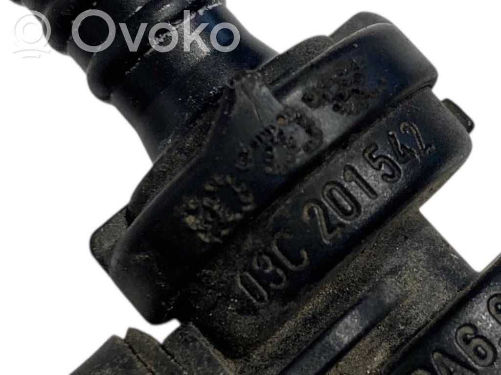 Caurulīte (-es) / šļūtene (-es)