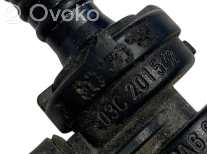 Caurulīte (-es) / šļūtene (-es)