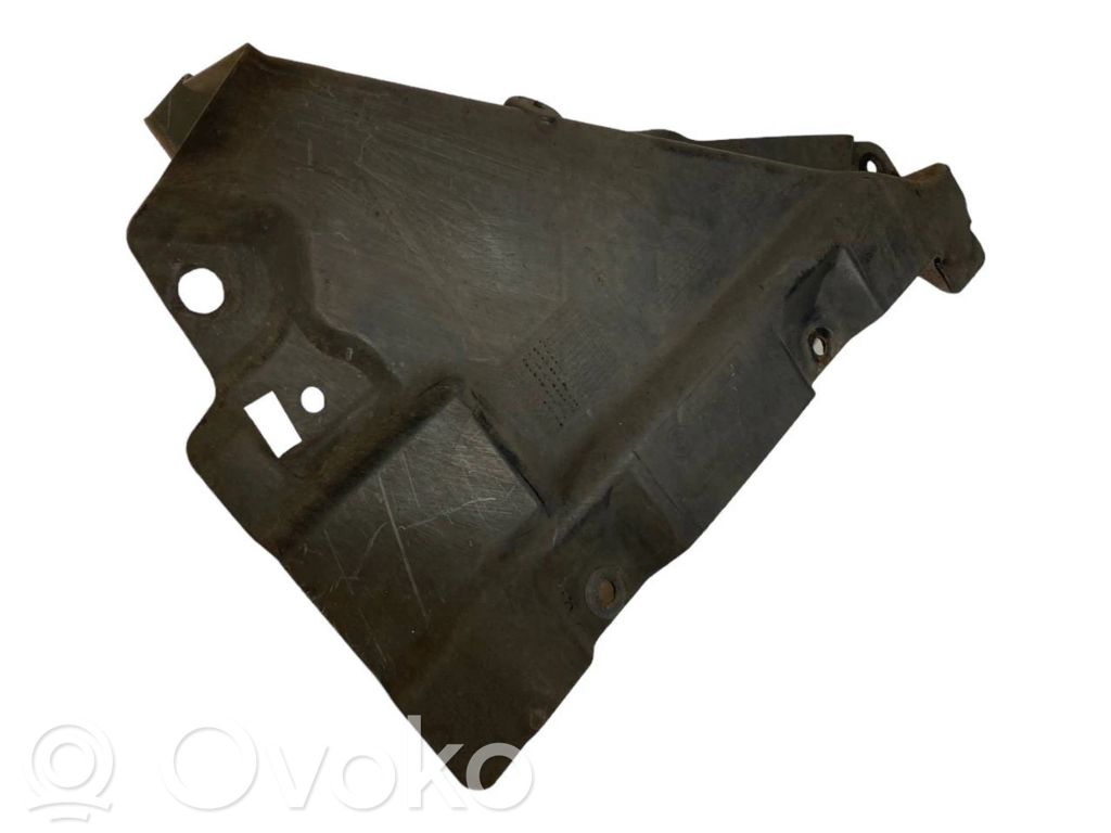 Under engine guard (front)