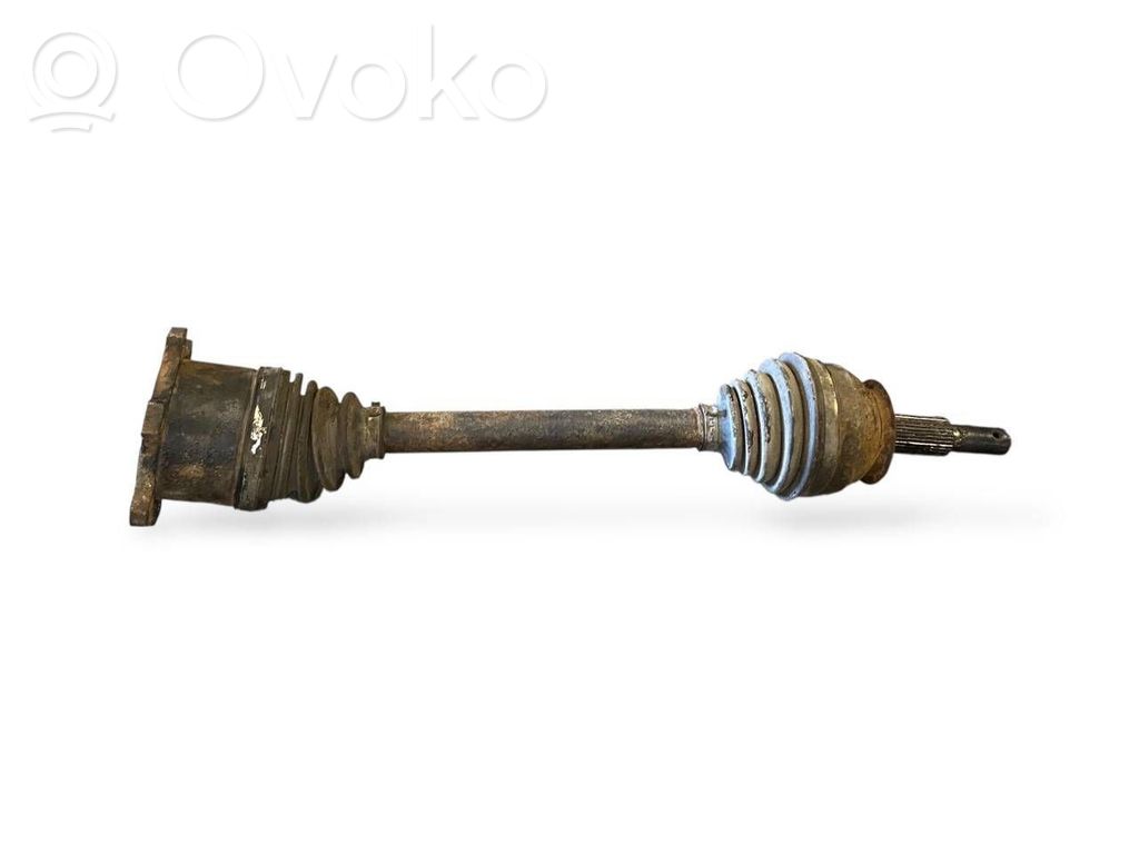 Aizmugurējā pusass