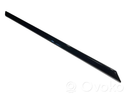 Aizmugurē durvju dekoratīvā apdare (moldings)