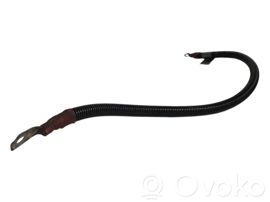 Plusa vads (akumulatora)