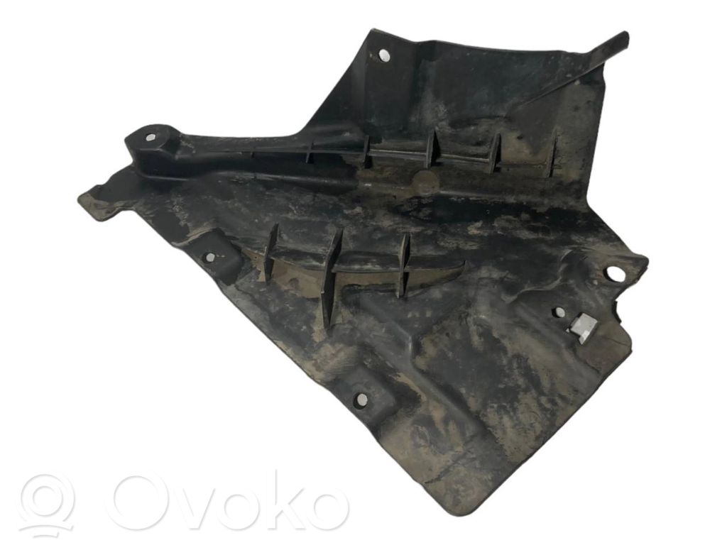 Under engine guard (front)