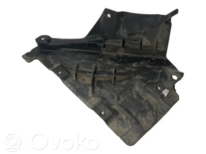 Under engine guard (front)