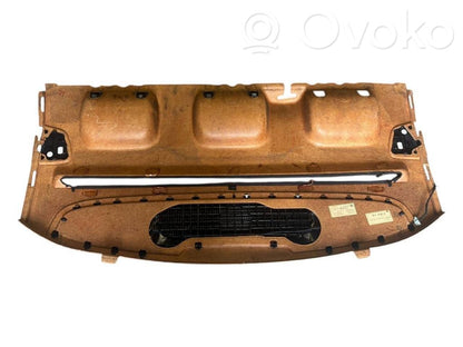 Aizmugurējā palodze