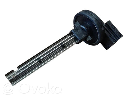 Salona temperatūras sensors