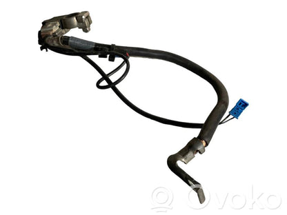 Mīnusa vads (akumulatora)