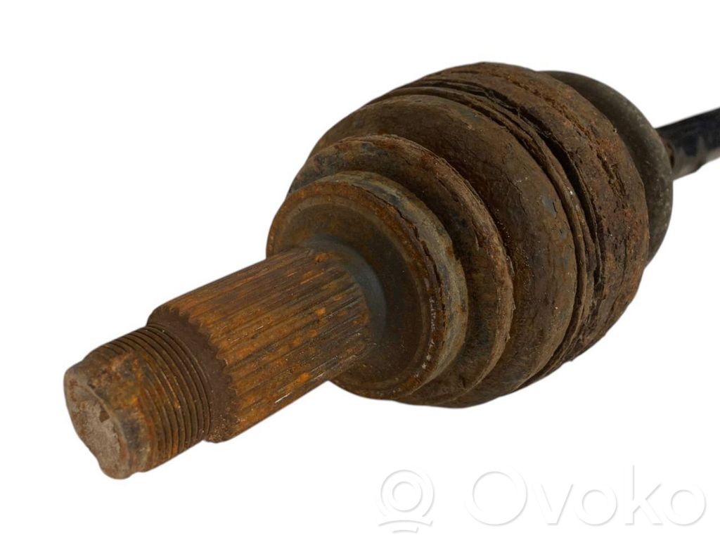 Aizmugurējā pusass