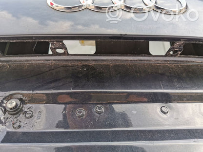 Aizmugurējais pārsegs (bagāžnieks)