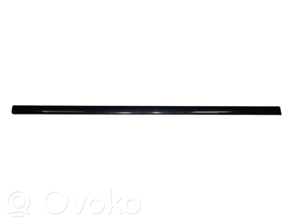 Priekšpusē durvju dekoratīvā apdare (moldings)