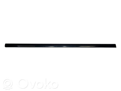 Priekšpusē durvju dekoratīvā apdare (moldings)