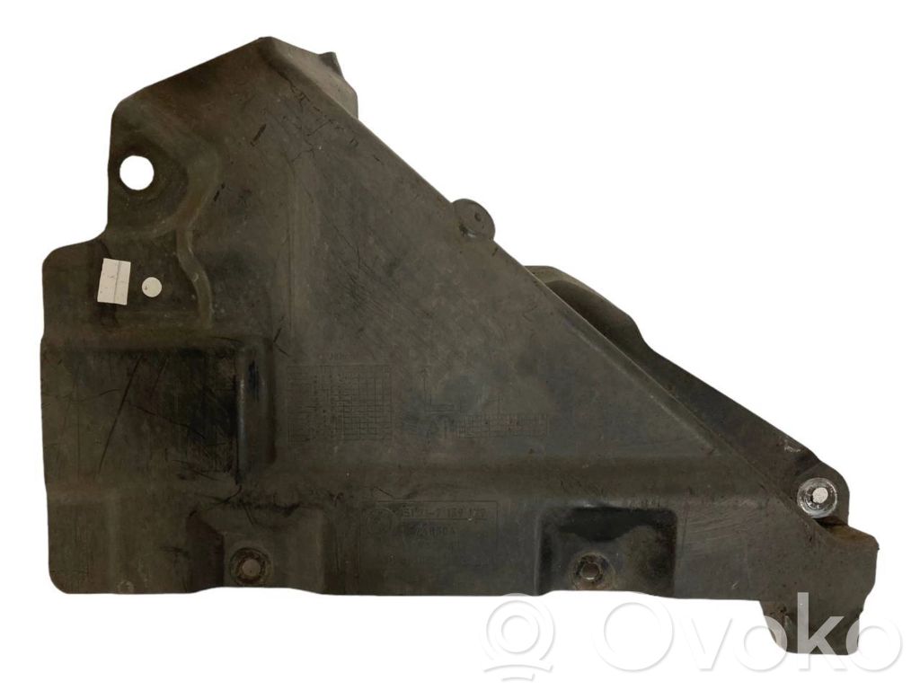 Under engine guard (front)