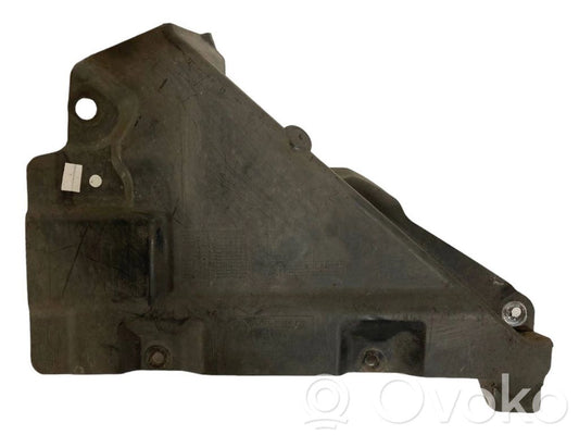 Under engine guard (front)
